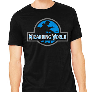 Wizarding World