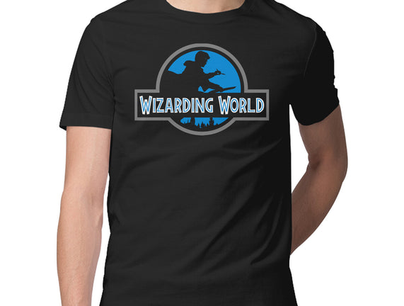 Wizarding World