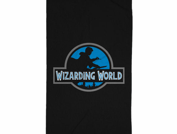 Wizarding World
