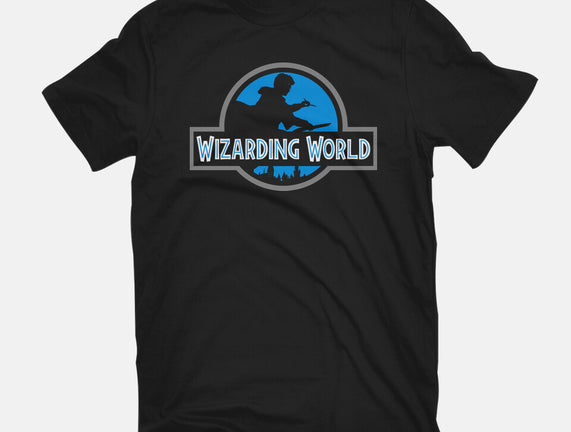 Wizarding World