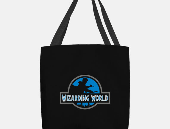 Wizarding World