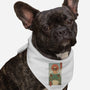 Catana And The Big Frog-dog bandana pet collar-vp021