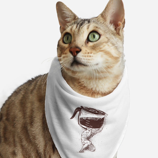 Coffee Atlas-cat bandana pet collar-Getsousa!