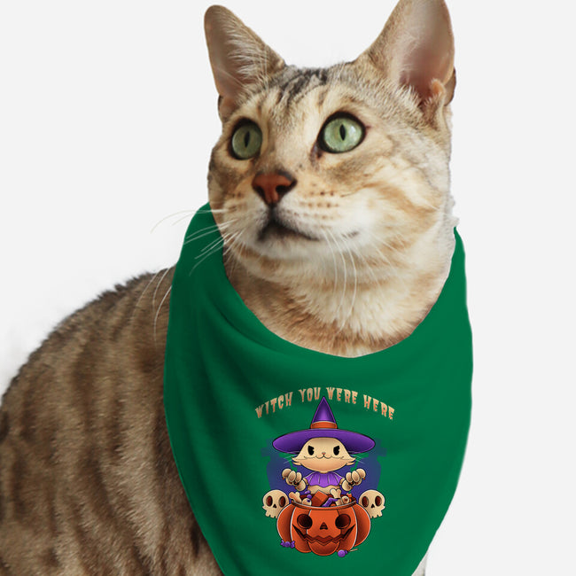 Witch You Were Here-cat bandana pet collar-ManuelTurchiDesign