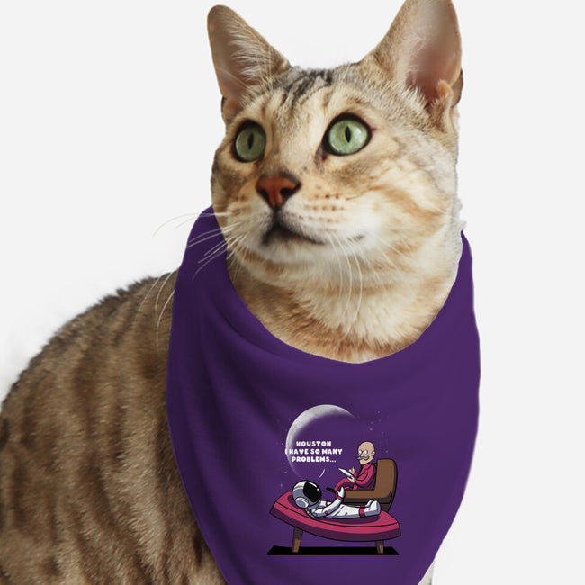 Problems-cat bandana pet collar-fanfabio