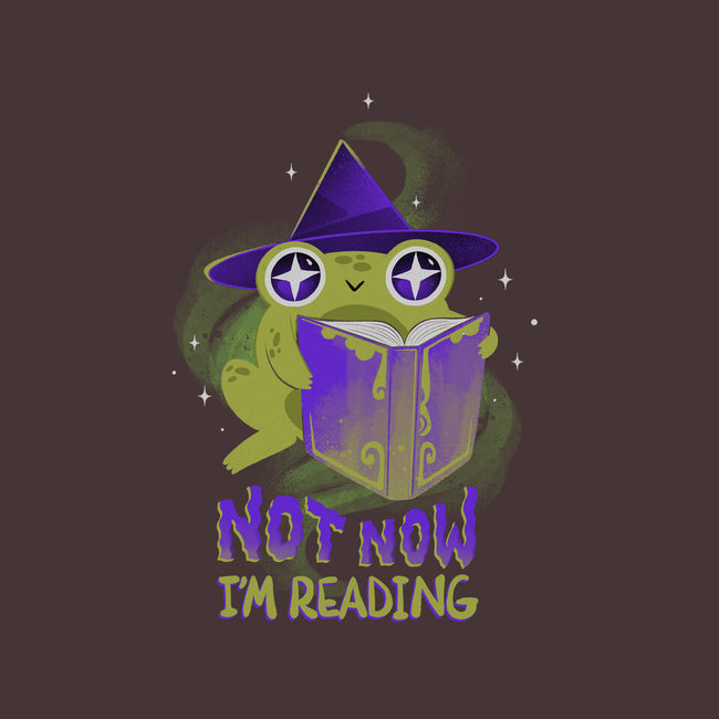 Not Now! I'm Reading-none removable cover w insert throw pillow-ricolaa