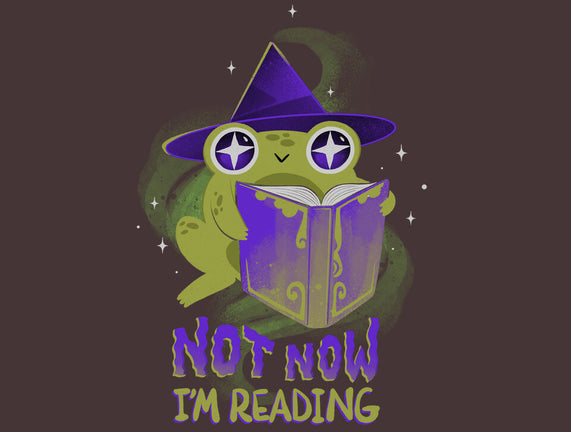 Not Now! I'm Reading