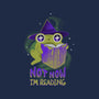 Not Now! I'm Reading-none removable cover w insert throw pillow-ricolaa