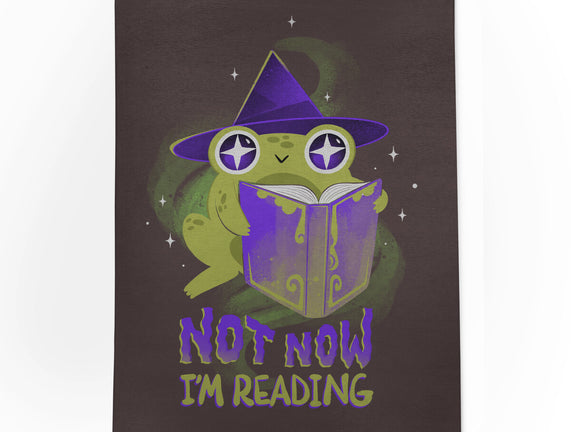 Not Now! I'm Reading