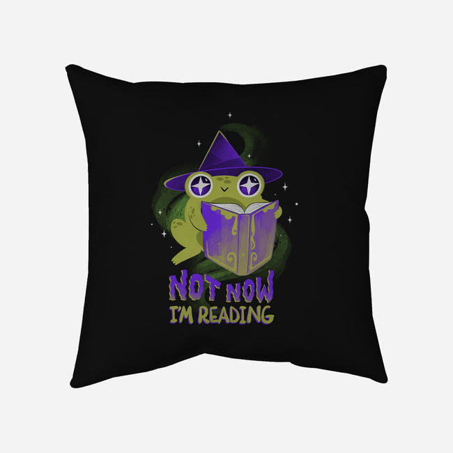 Not Now! I'm Reading-none non-removable cover w insert throw pillow-ricolaa