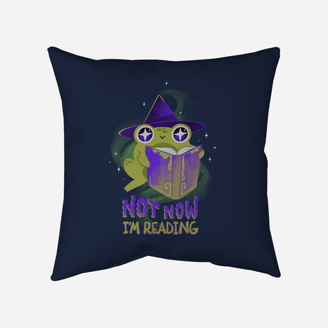 Not Now! I'm Reading-none non-removable cover w insert throw pillow-ricolaa