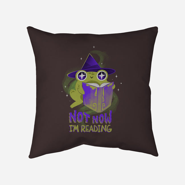 Not Now! I'm Reading-none removable cover w insert throw pillow-ricolaa