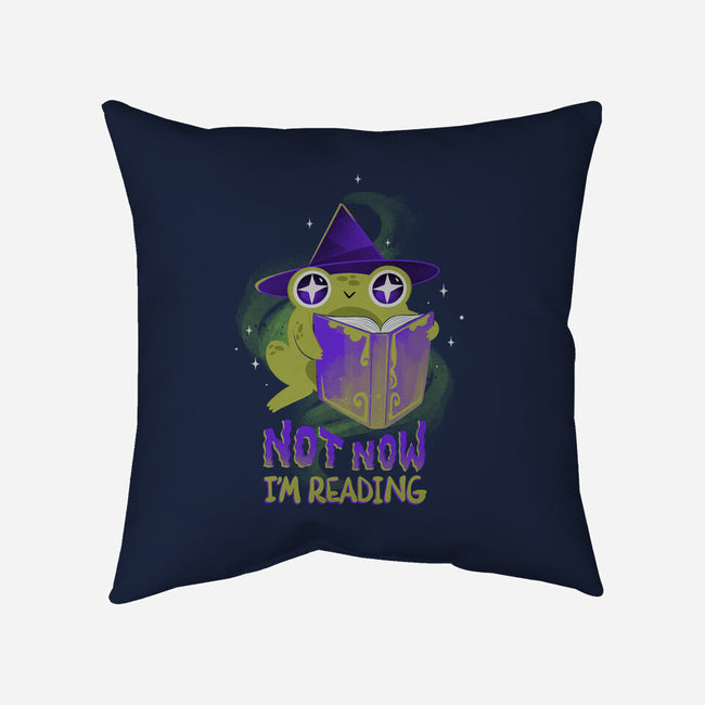 Not Now! I'm Reading-none removable cover w insert throw pillow-ricolaa