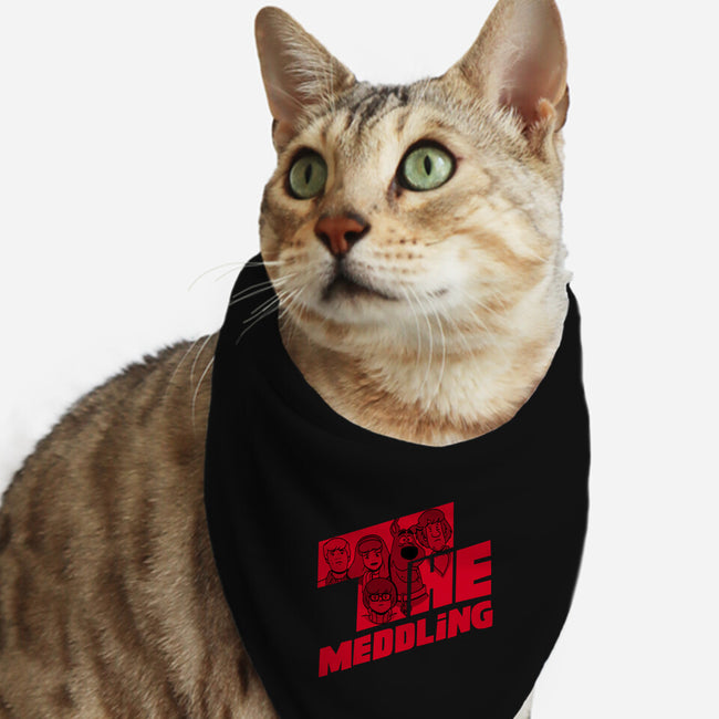 The Meddling-cat bandana pet collar-Boggs Nicolas