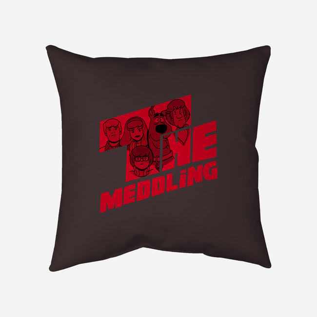 The Meddling-none removable cover w insert throw pillow-Boggs Nicolas