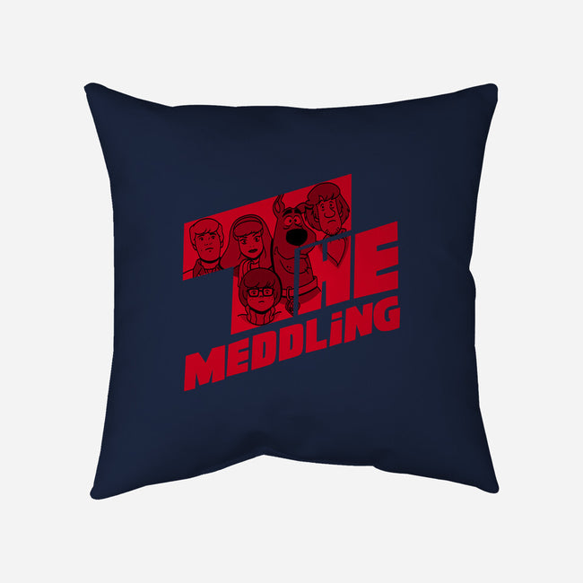 The Meddling-none removable cover w insert throw pillow-Boggs Nicolas