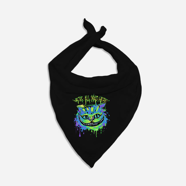 Colorful Mad Cat-dog bandana pet collar-IKILO