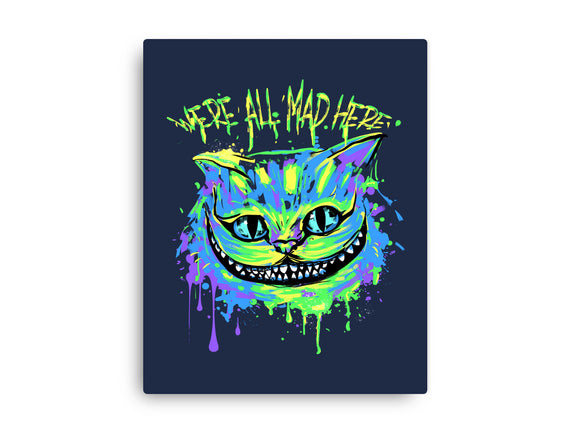 Colorful Mad Cat