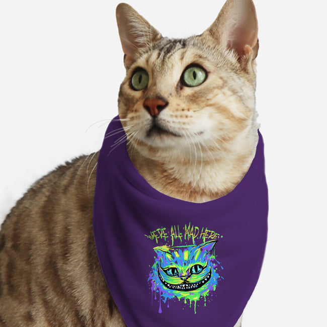 Colorful Mad Cat-cat bandana pet collar-IKILO