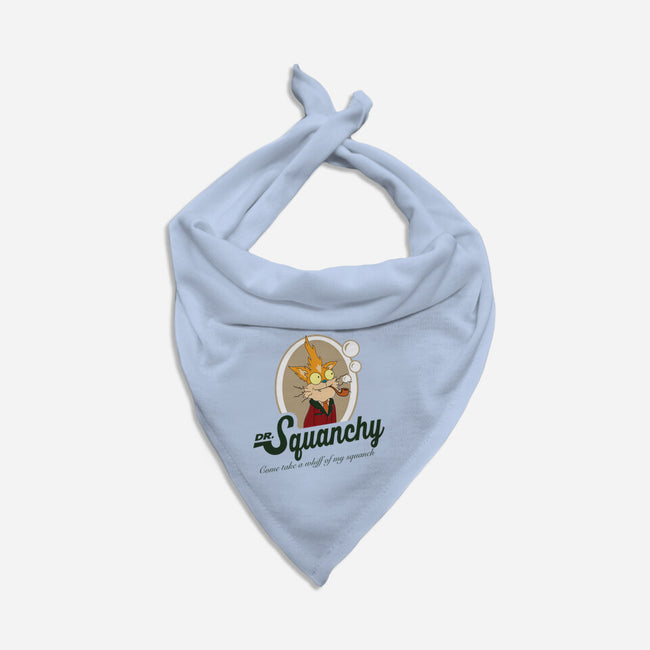 Dr Squanchy-cat bandana pet collar-SeamusAran