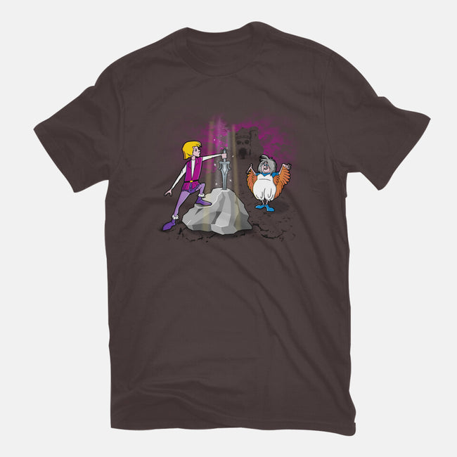 The Sword In The Grayskull-womens basic tee-se7te