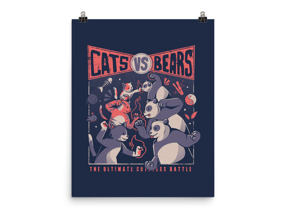 Cats Vs Bears