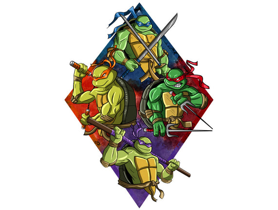 The Turtle Brothers