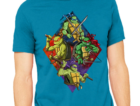 The Turtle Brothers