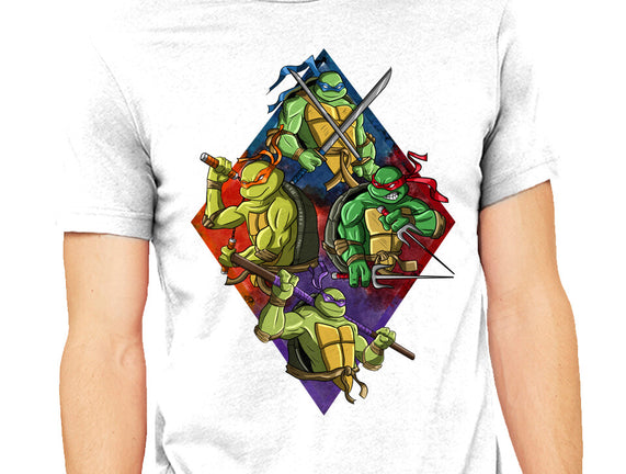 The Turtle Brothers