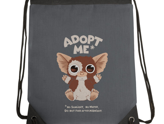 Adopt Me