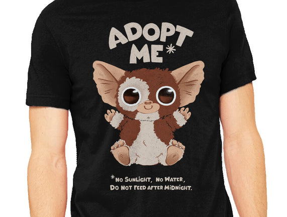Adopt Me