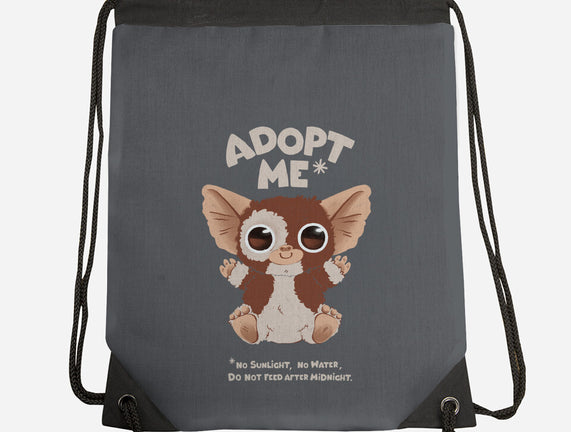 Adopt Me