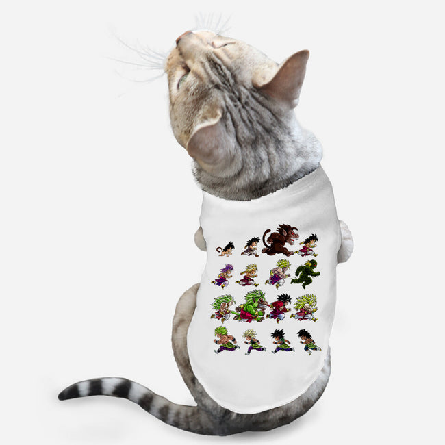 Legendary Evolutions-cat basic pet tank-albertocubatas
