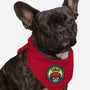 Resident Genius-dog bandana pet collar-Boggs Nicolas