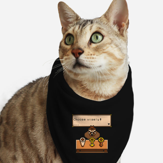 Choose Your Grail-cat bandana pet collar-Olipop