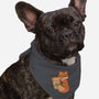 Starfox Coffee-dog bandana pet collar-ricolaa