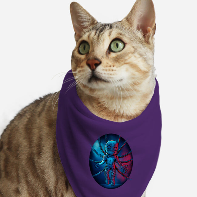 Little Vec-cat bandana pet collar-Bruno Mota