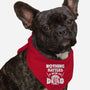 Nothing Matters-dog bandana pet collar-Boggs Nicolas