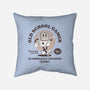 Nostalgic Boy-none removable cover w insert throw pillow-retrodivision