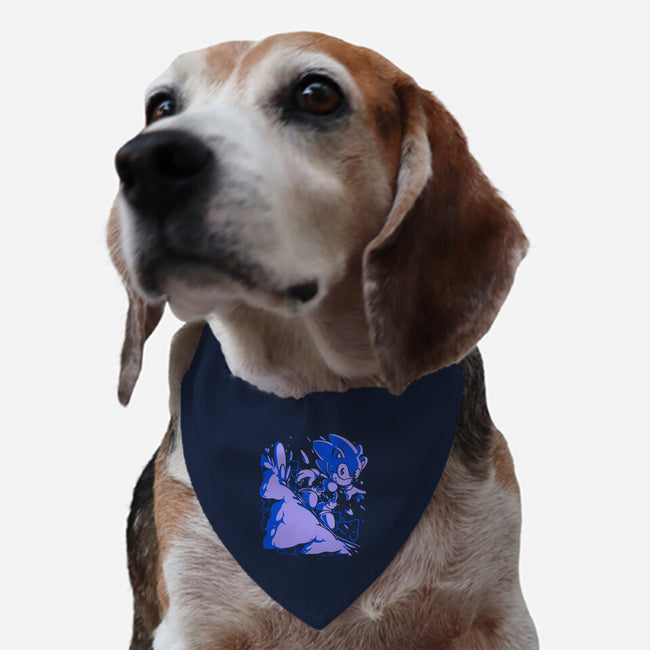 Ice Cap Zone-dog adjustable pet collar-estudiofitas