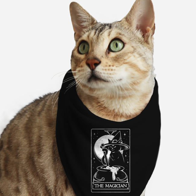 Master Of My Fate-cat bandana pet collar-eduely