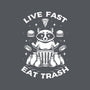 And Eat Trash-none removable cover w insert throw pillow-Alundrart
