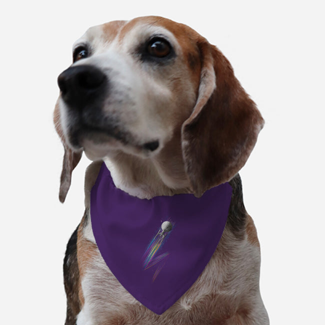 Warp Speeds-dog adjustable pet collar-kharmazero
