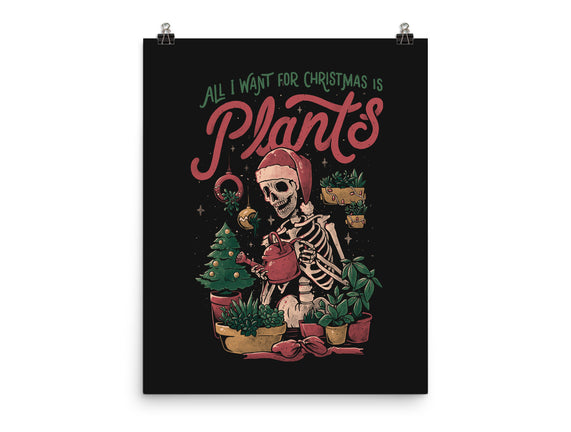 All I Want For Christmas Is Plants