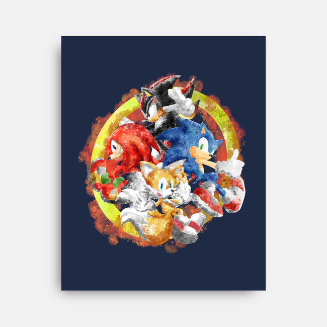 Sonic Squad Splash-none stretched canvas-nickzzarto