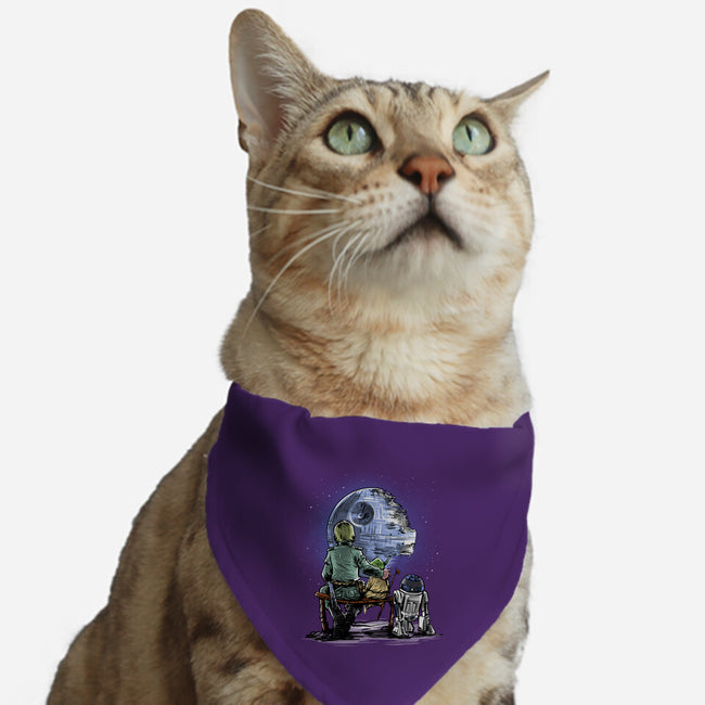 Master And Apprentice Gazing-cat adjustable pet collar-zascanauta