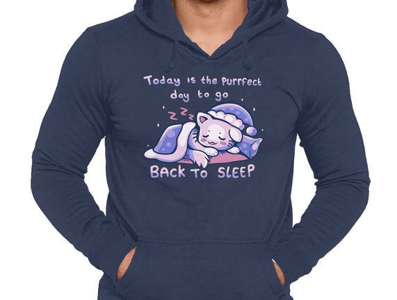 Purrfect Day For Sleep