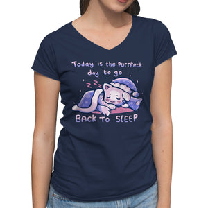 Purrfect Day For Sleep