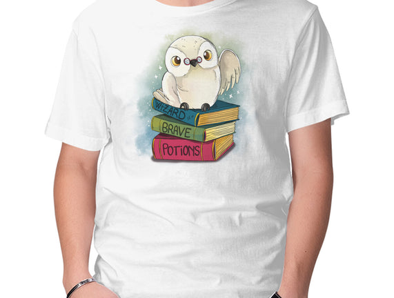 Magic Owl Books