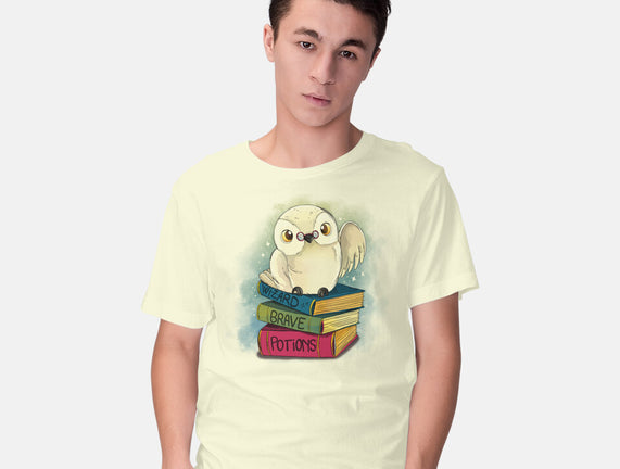 Magic Owl Books